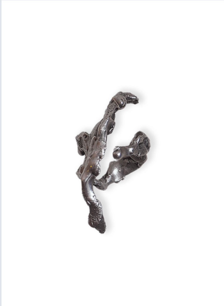Captcha Lab Ring