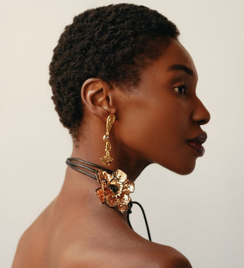 Bo 